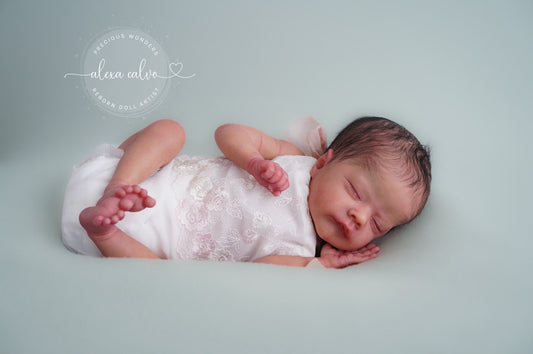 Lil'Prem by Laura Lee Eagles