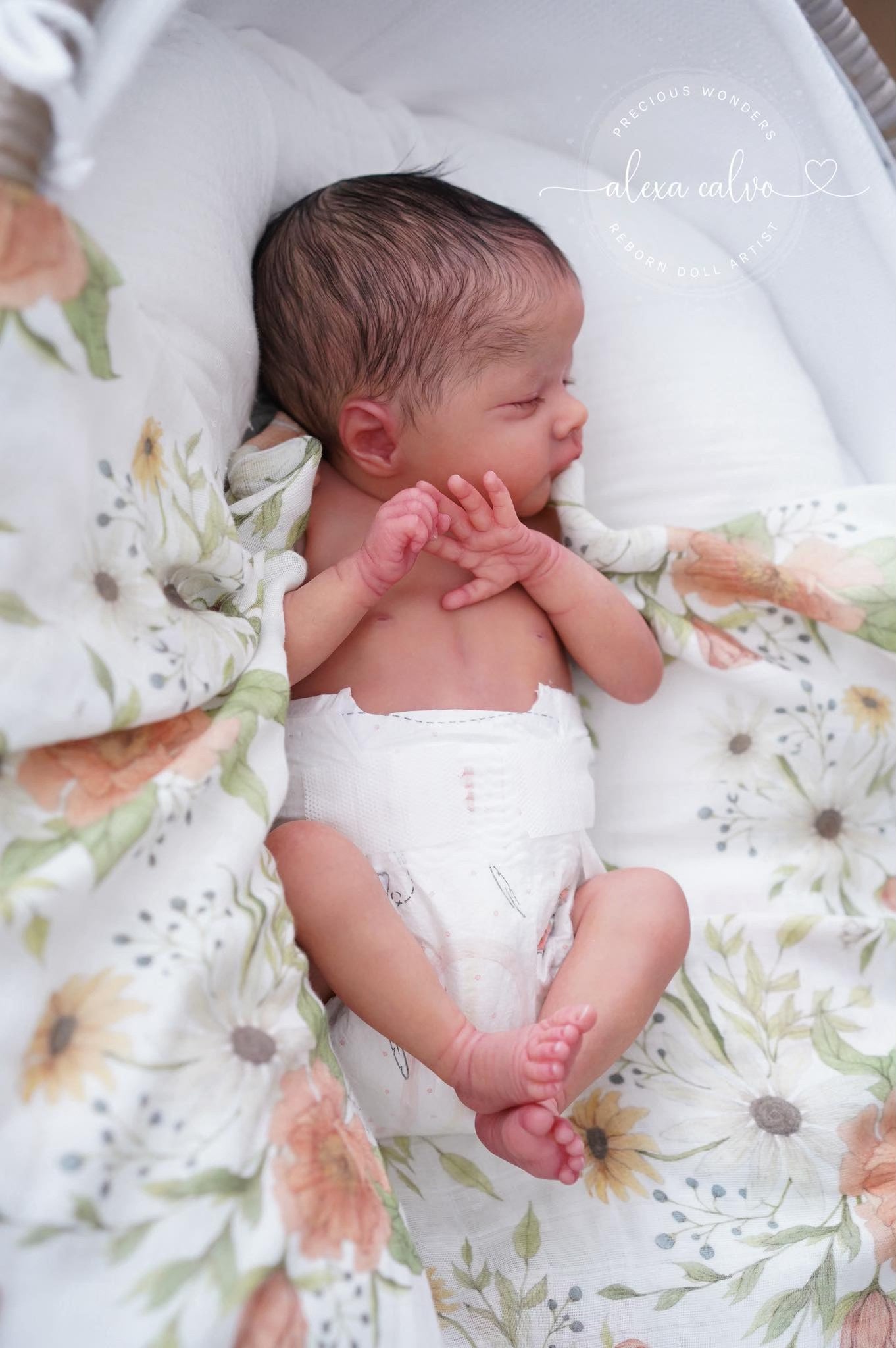 Lil'Prem by Laura Lee Eagles