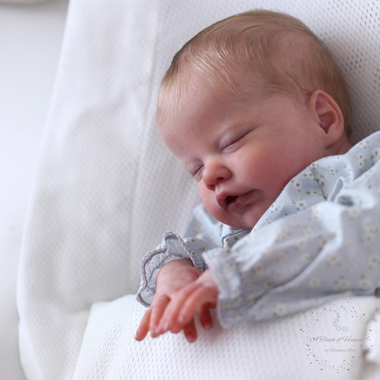 Primrose Asleep by Laura Lee Eagles