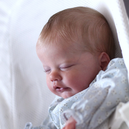 Primrose Asleep by Laura Lee Eagles