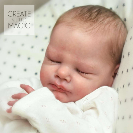 Lovan by Cassie Love