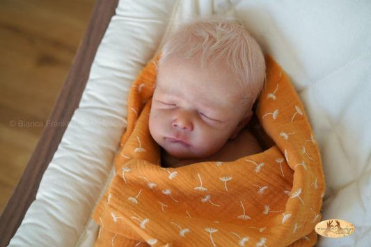 Cayle by Olga Auer - Create A Little Magic (Pty) Ltd