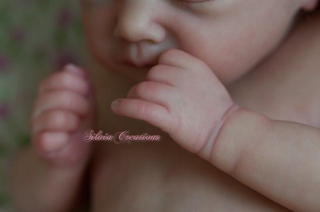 Reborn Doll Kit - Charlotte by Laura Lee Eagles - Create A Little Magic (Pty) Ltd