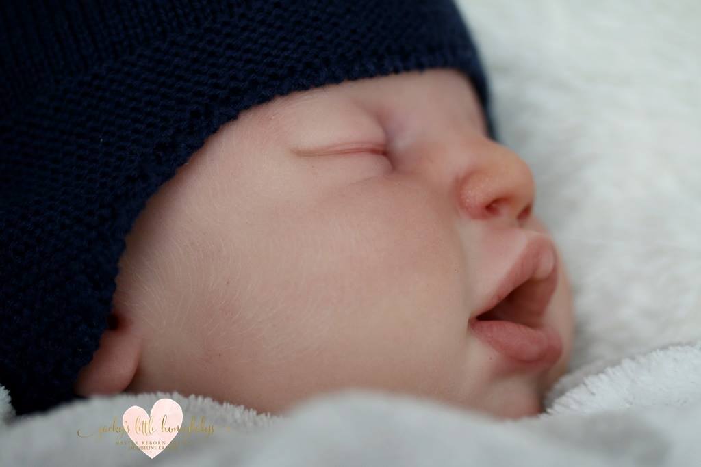 Ephram by Melody Hess - Create A Little Magic (Pty) Ltd