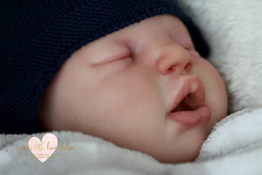 Ephram by Melody Hess - Create A Little Magic (Pty) Ltd