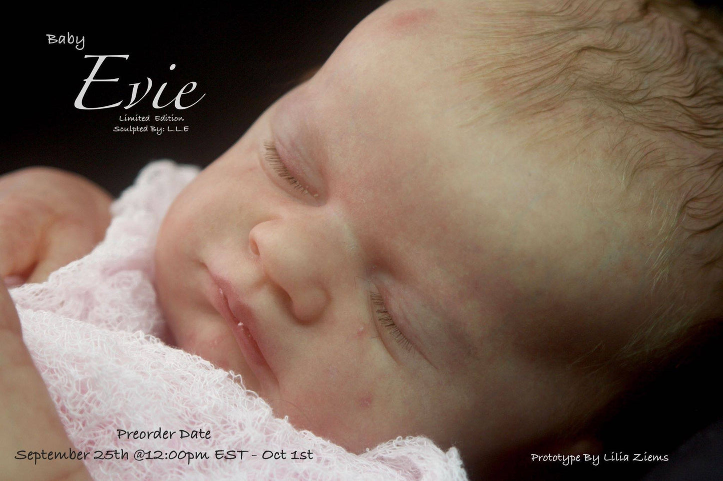 Evie by Laura Lee Eagles - Create A Little Magic (Pty) Ltd