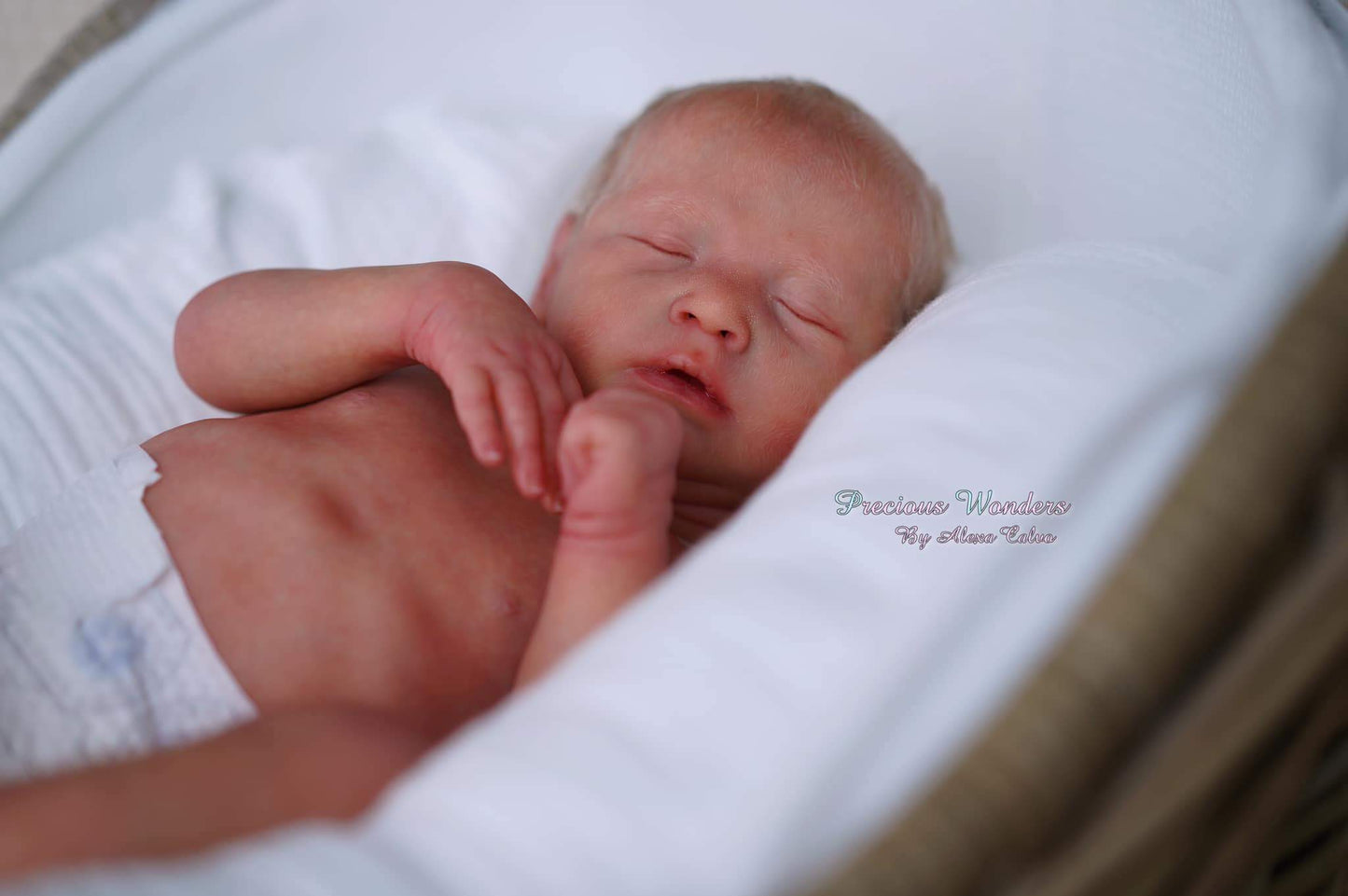 Manuela by Rafaela Spiandorelli - Create A Little Magic (Pty) Ltd