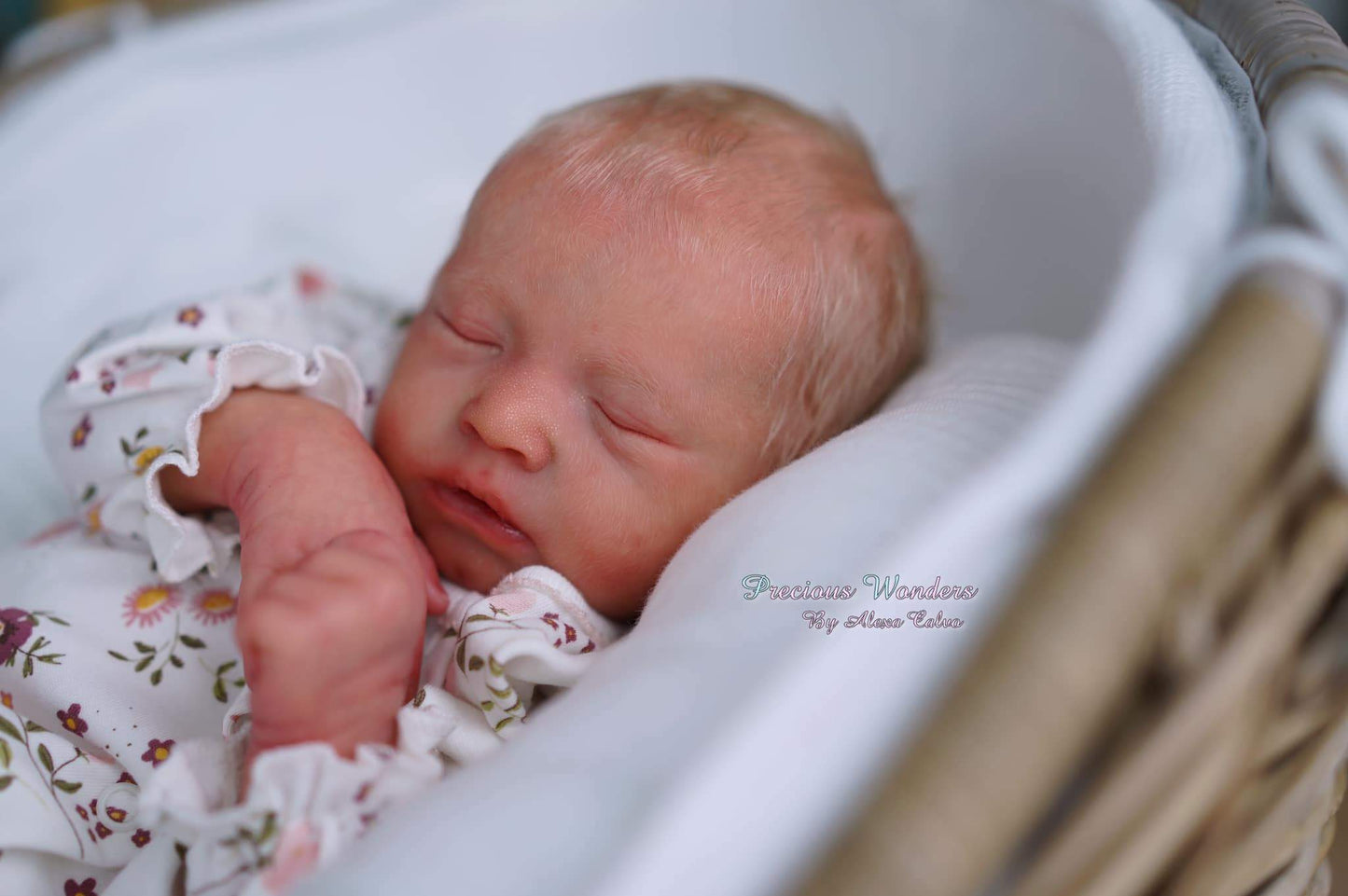 Manuela by Rafaela Spiandorelli - Create A Little Magic (Pty) Ltd