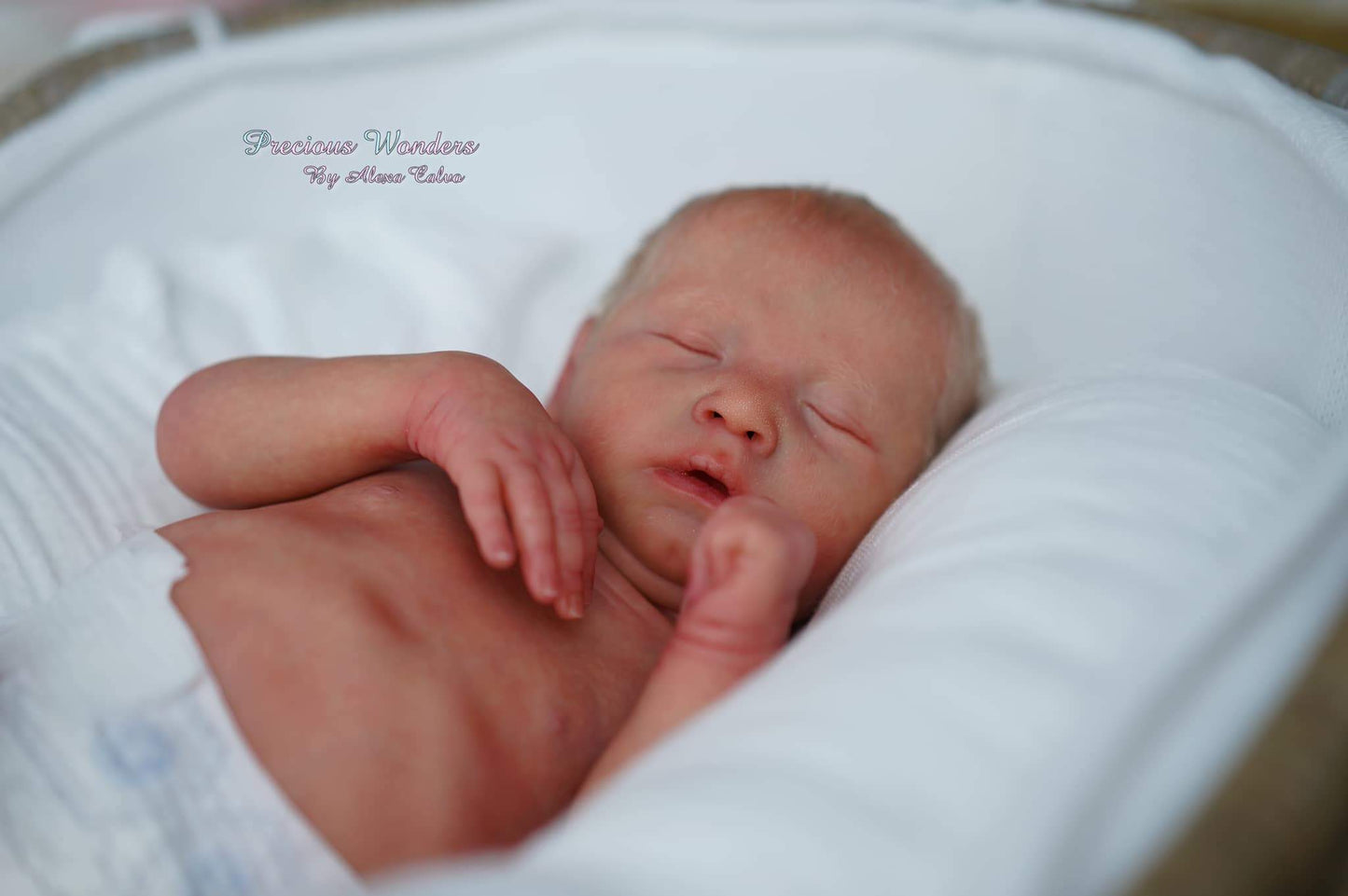 Manuela by Rafaela Spiandorelli - Create A Little Magic (Pty) Ltd