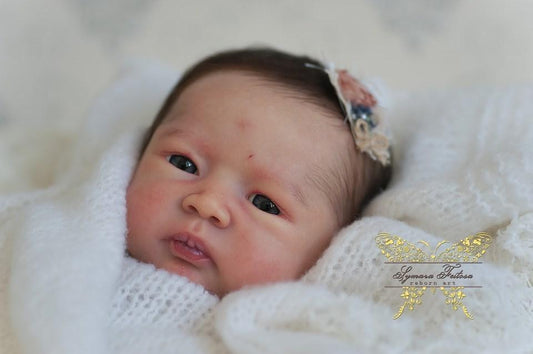 Posy by Nikki Johnston - Create A Little Magic (Pty) Ltd