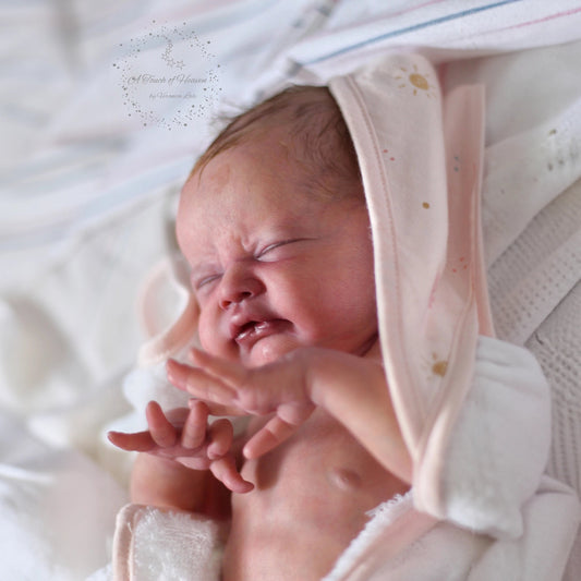 ***PRE ORDER DEPOSIT*** Gracie Mae by Laura Lee Eagles - Create A Little Magic (Pty) Ltd