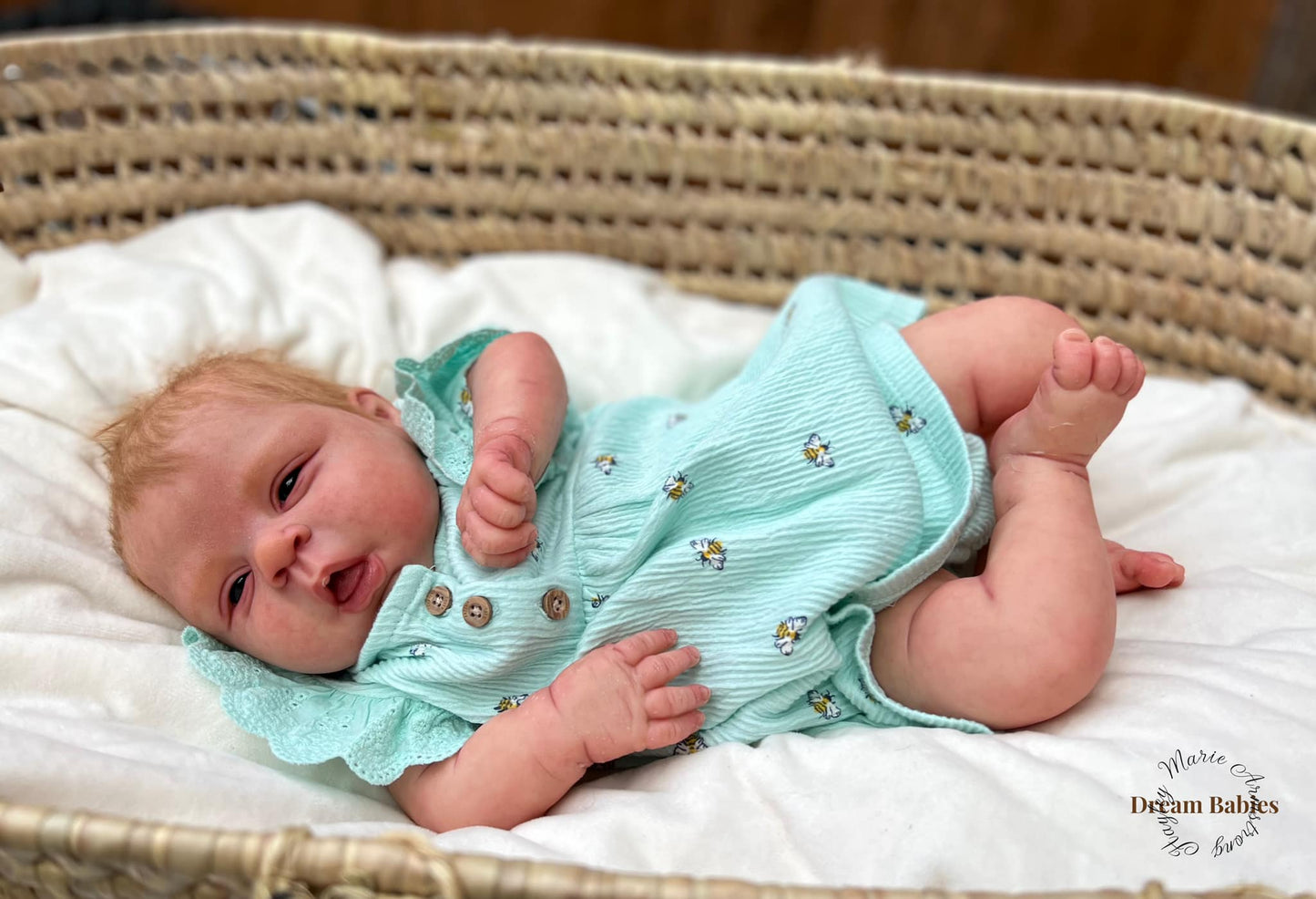 ***PRE-ORDER DEPOSIT ONLY*** Estella by Cassie Brace - Create A Little Magic (Pty) Ltd