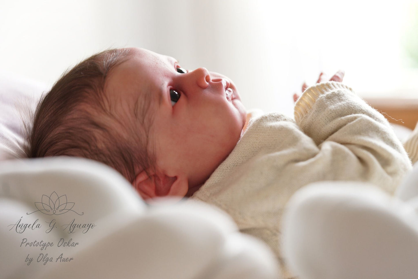 ***PRE-ORDER DEPOSIT ONLY*** Oskar by Olga Auer - Create A Little Magic (Pty) Ltd