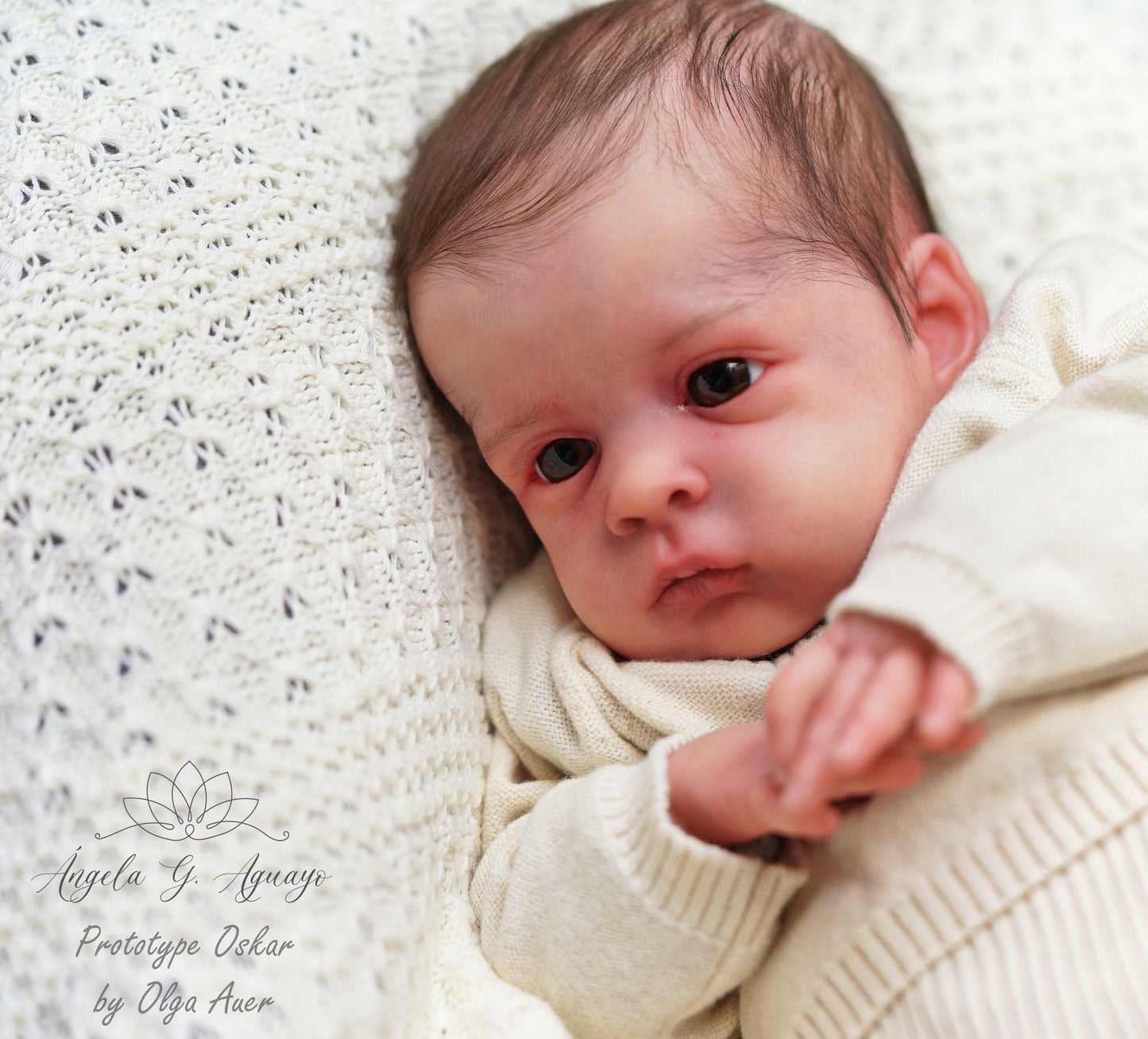 ***PRE-ORDER DEPOSIT ONLY*** Oskar by Olga Auer - Create A Little Magic (Pty) Ltd