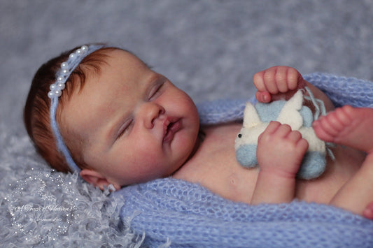 ***PRE-ORDER DEPOSIT ONLY*** Quinbee by Laura Lee Eagles - Create A Little Magic (Pty) Ltd