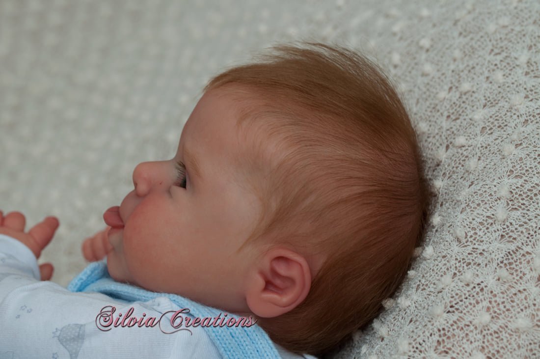 ***PRE-ORDER DEPOSIT ONLY*** Sebby by Cassie Brace - Create A Little Magic (Pty) Ltd