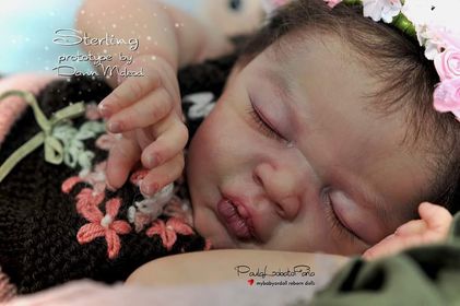 ***PRE-ORDER DEPOSIT ONLY*** Sterling by Dawn Murry McLeod - Create A Little Magic (Pty) Ltd