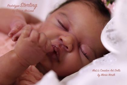 ***PRE-ORDER DEPOSIT ONLY*** Sterling by Dawn Murry McLeod - Create A Little Magic (Pty) Ltd