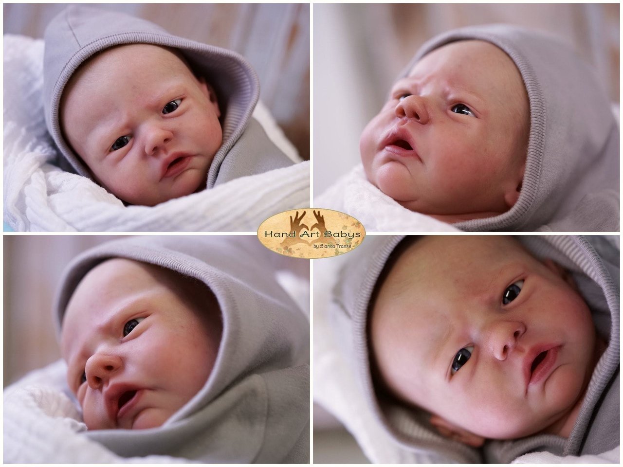 Robin Awake by Nikki Johnston - Create A Little Magic (Pty) Ltd