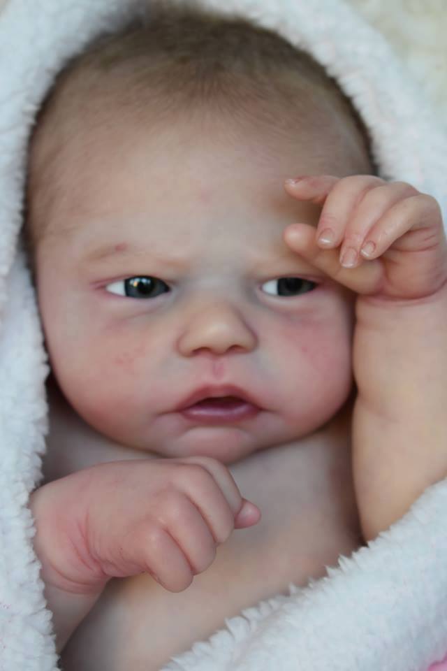 Robin Awake by Nikki Johnston - Create A Little Magic (Pty) Ltd