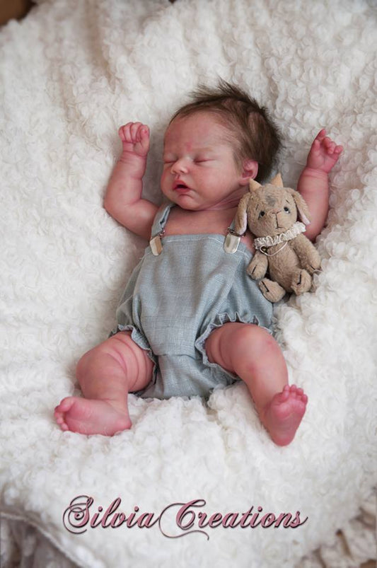 Robin by Nikki Johnston - Create A Little Magic (Pty) Ltd