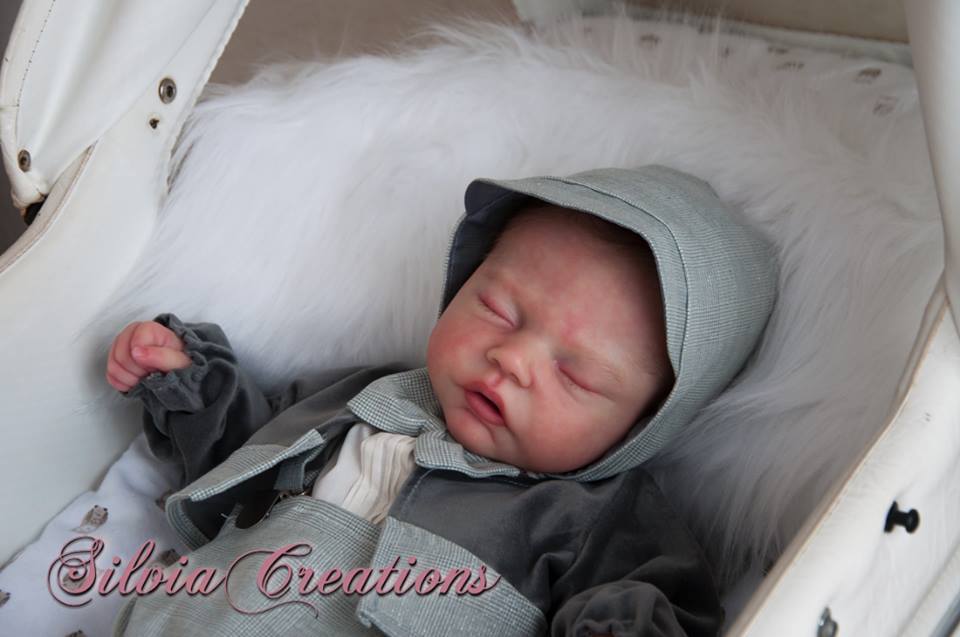 Robin by Nikki Johnston - Create A Little Magic (Pty) Ltd