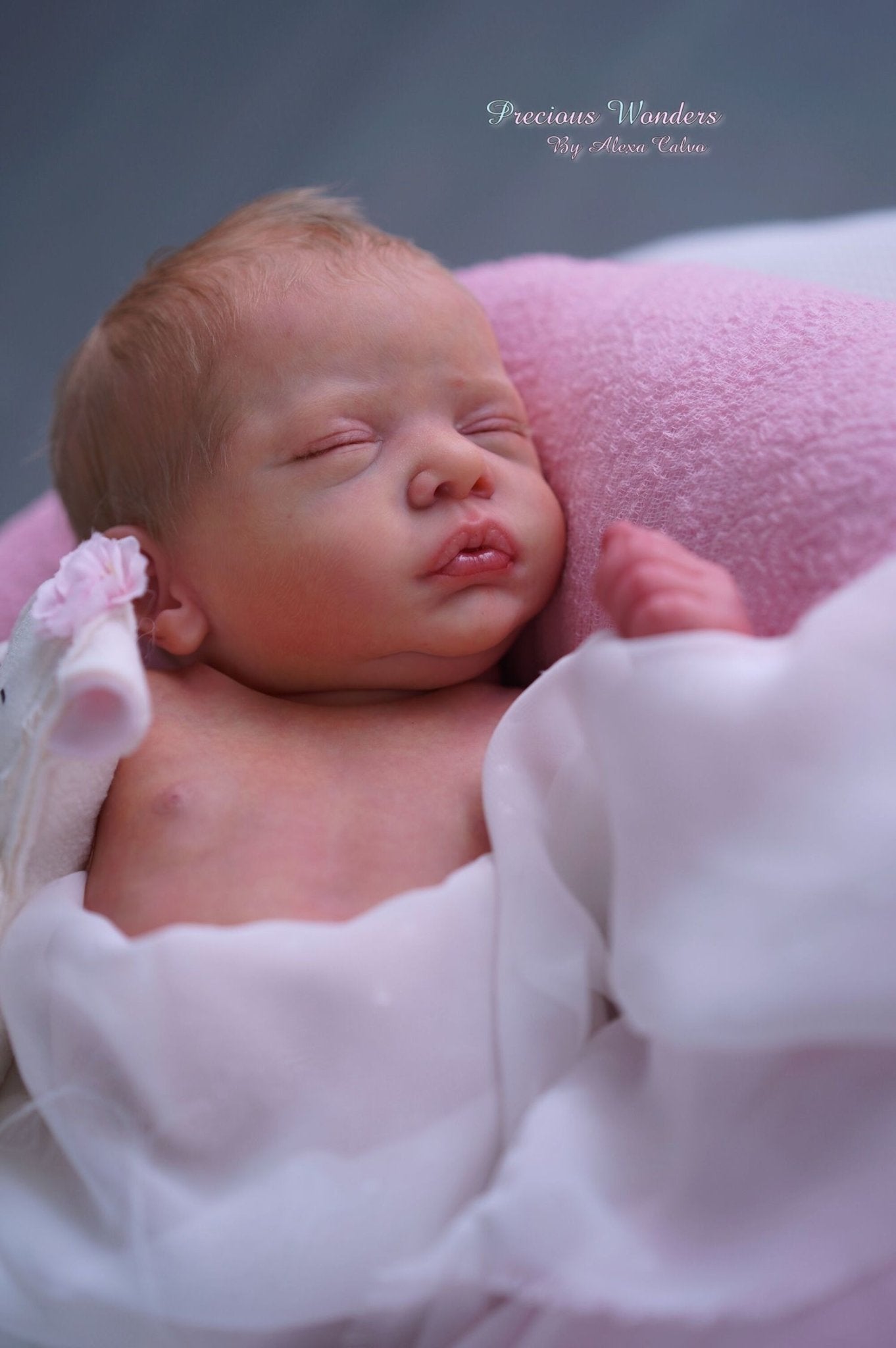Romy by Gudrun Legler - Create A Little Magic (Pty) Ltd