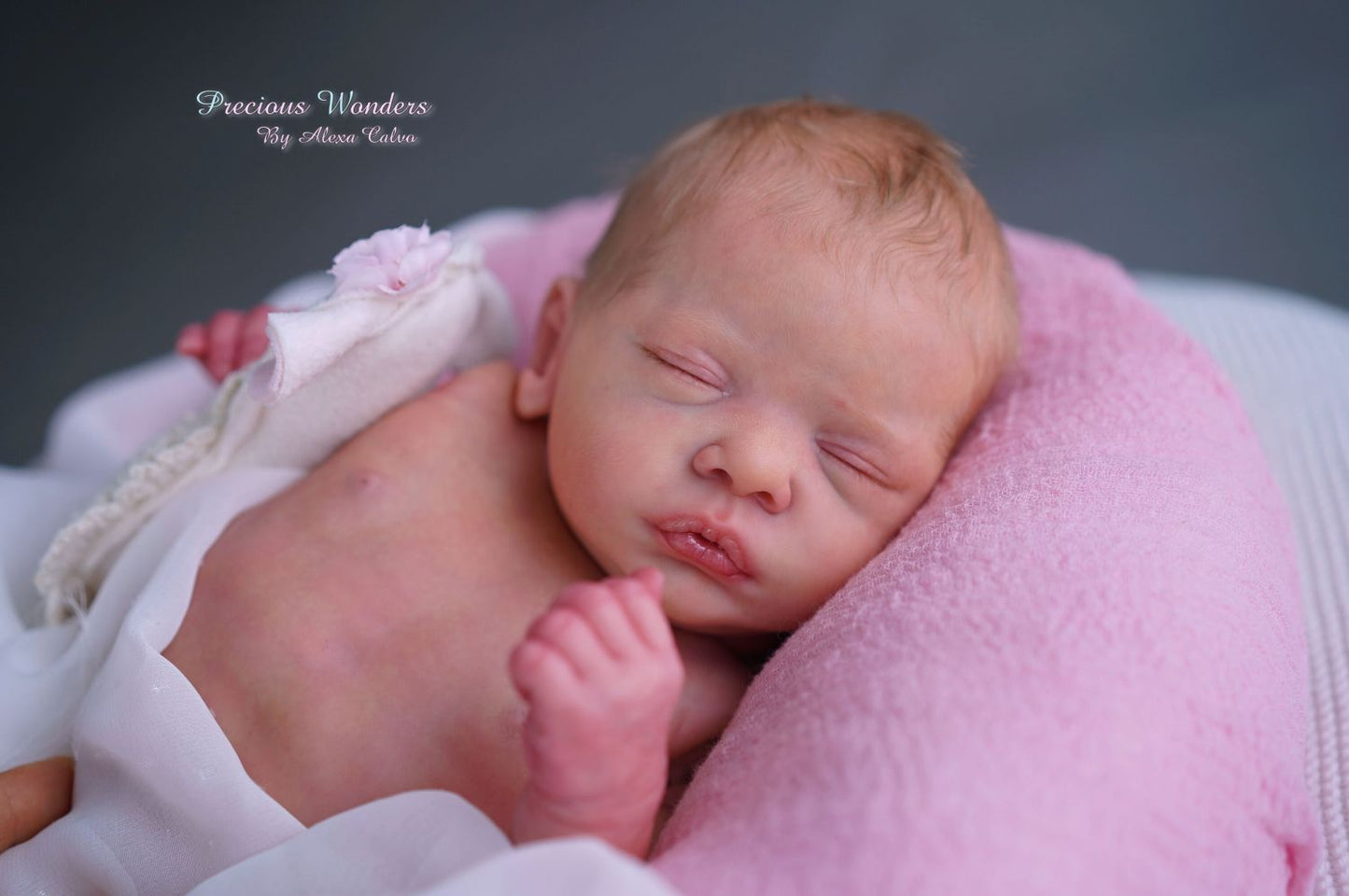Romy by Gudrun Legler - Create A Little Magic (Pty) Ltd
