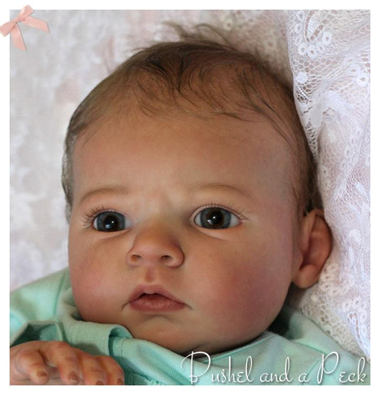 Sabrina by Reva Schick - Create A Little Magic (Pty) Ltd