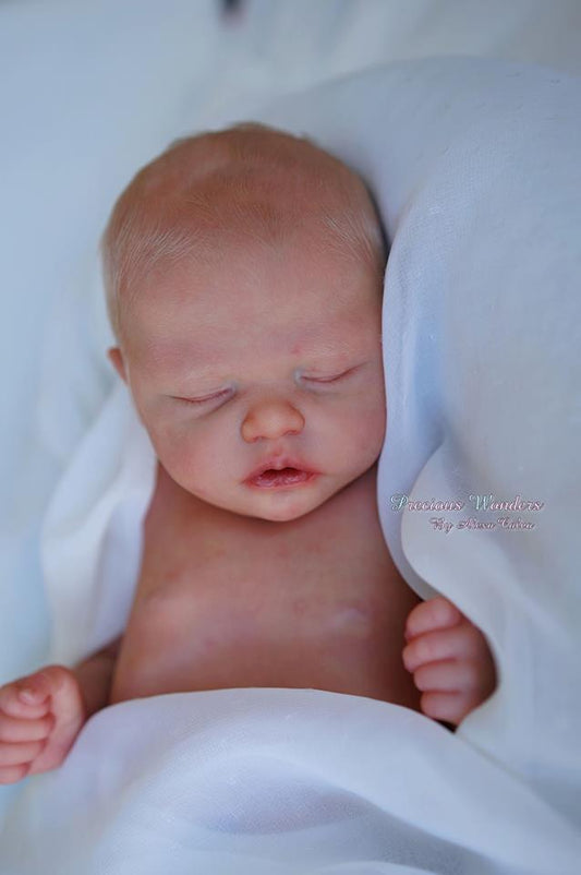 Trouble by Nikki Johnston - Create A Little Magic (Pty) Ltd