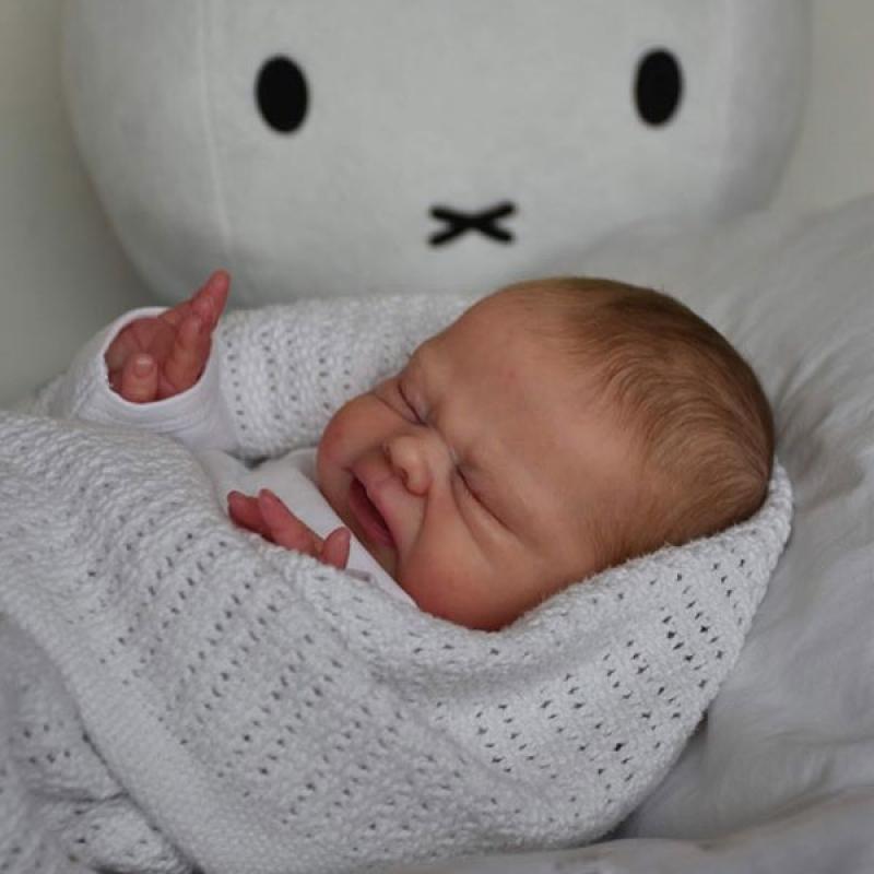 Vincent by Nikki Johnston - Create A Little Magic (Pty) Ltd