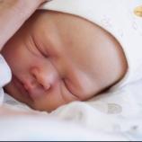 Zori by Dawn Murray McLeod - Create A Little Magic (Pty) Ltd