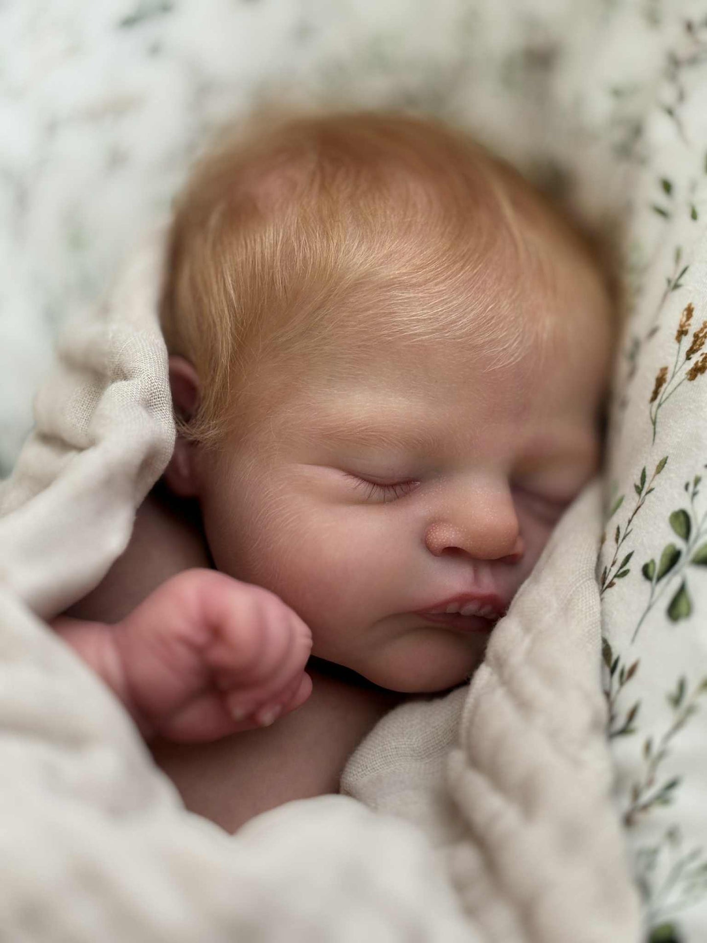 ***PRE-ORDER DEPOSIT ONLY*** Alice by Cassie Ann Love