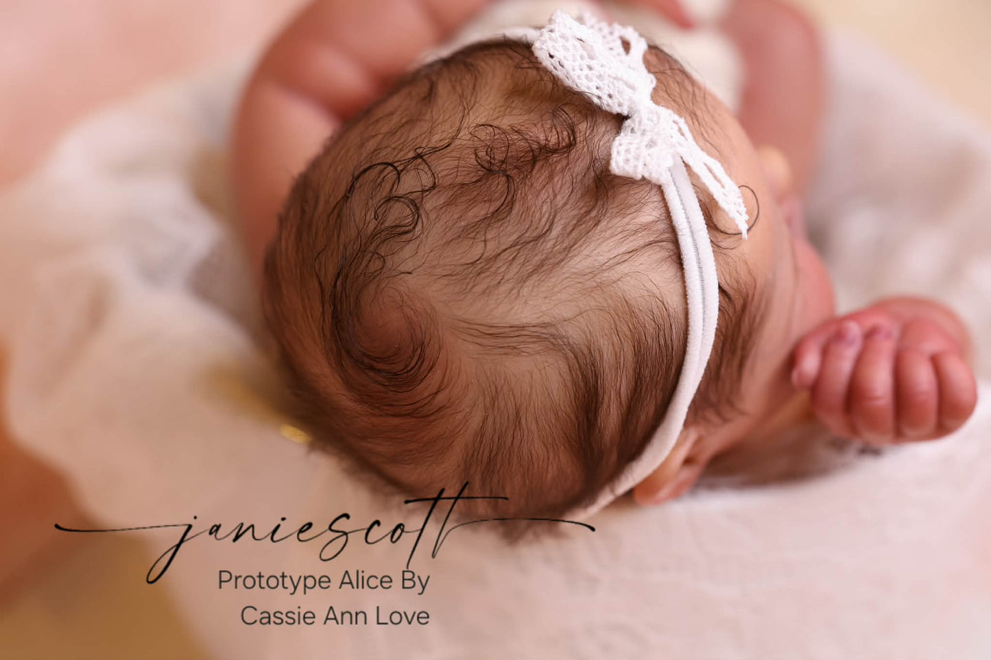 ***PRE-ORDER DEPOSIT ONLY*** Alice by Cassie Ann Love