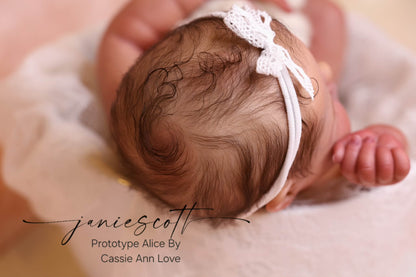 ***PRE-ORDER DEPOSIT ONLY*** Alice by Cassie Ann Love