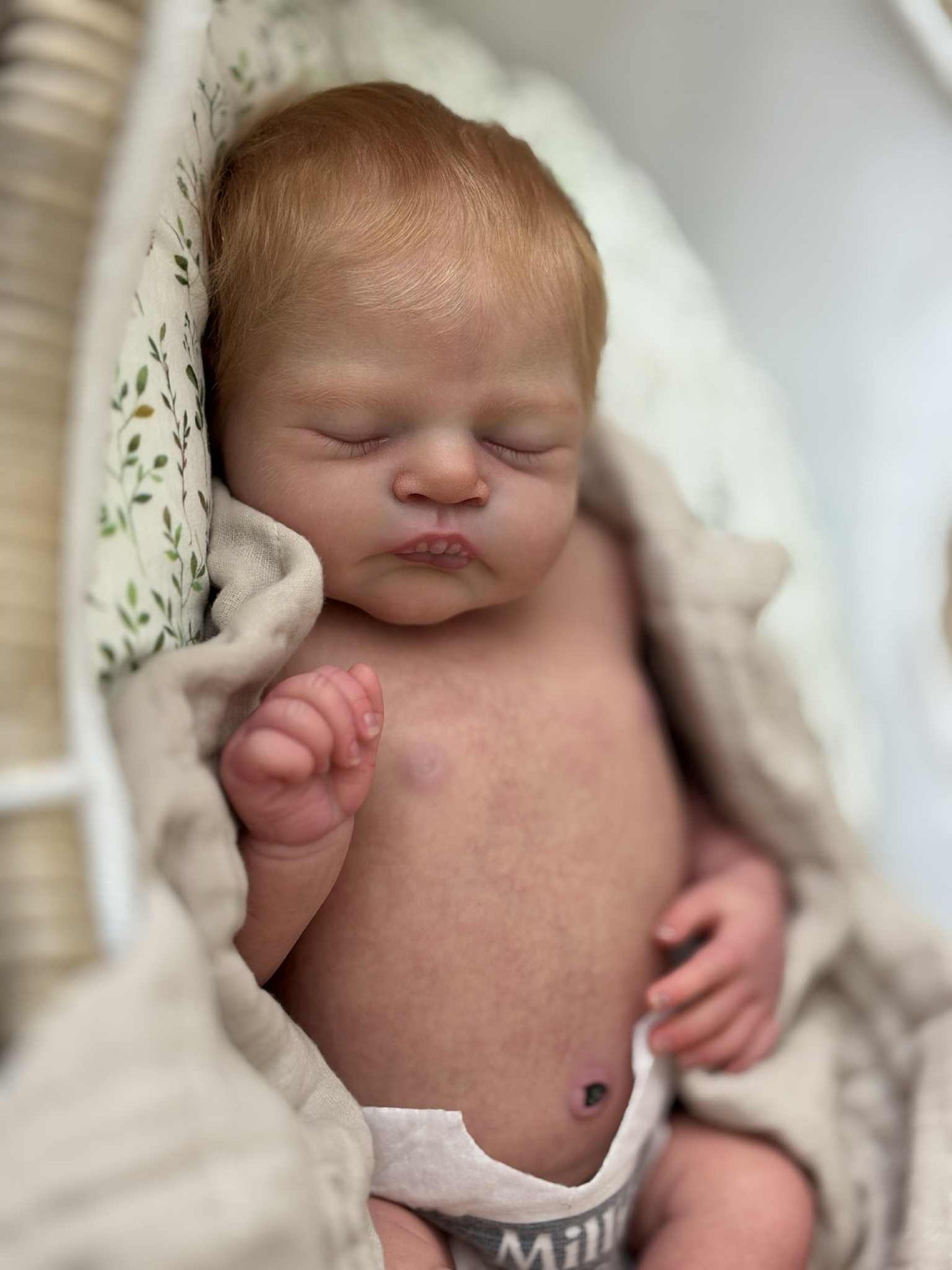 ***PRE-ORDER DEPOSIT ONLY*** Alice by Cassie Ann Love