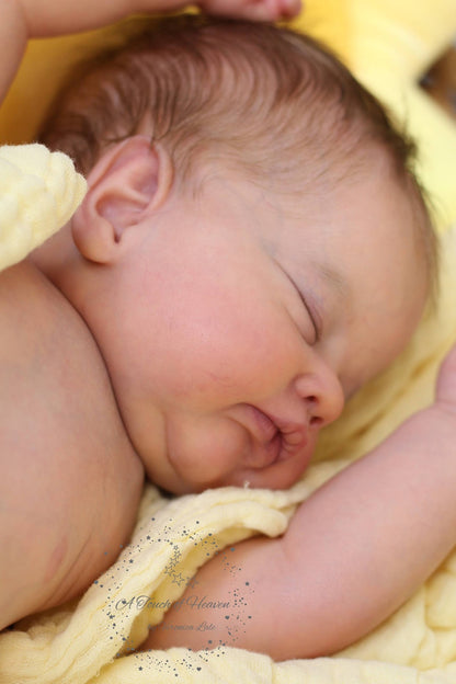 ***PRE-ORDER DEPOSIT*** Sunna by Laura Lee Eagles