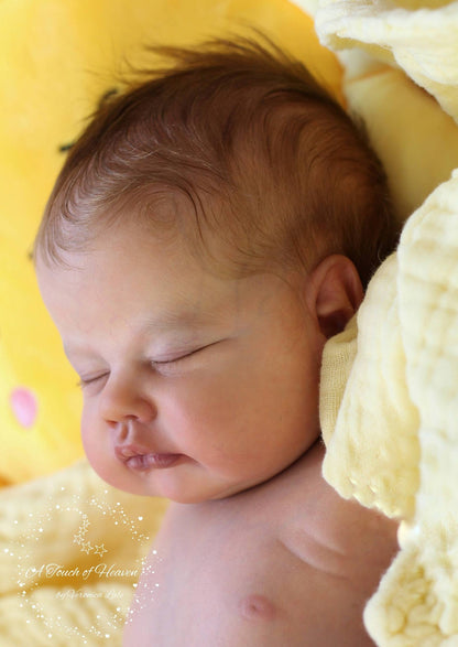 ***PRE-ORDER DEPOSIT*** Sunna by Laura Lee Eagles