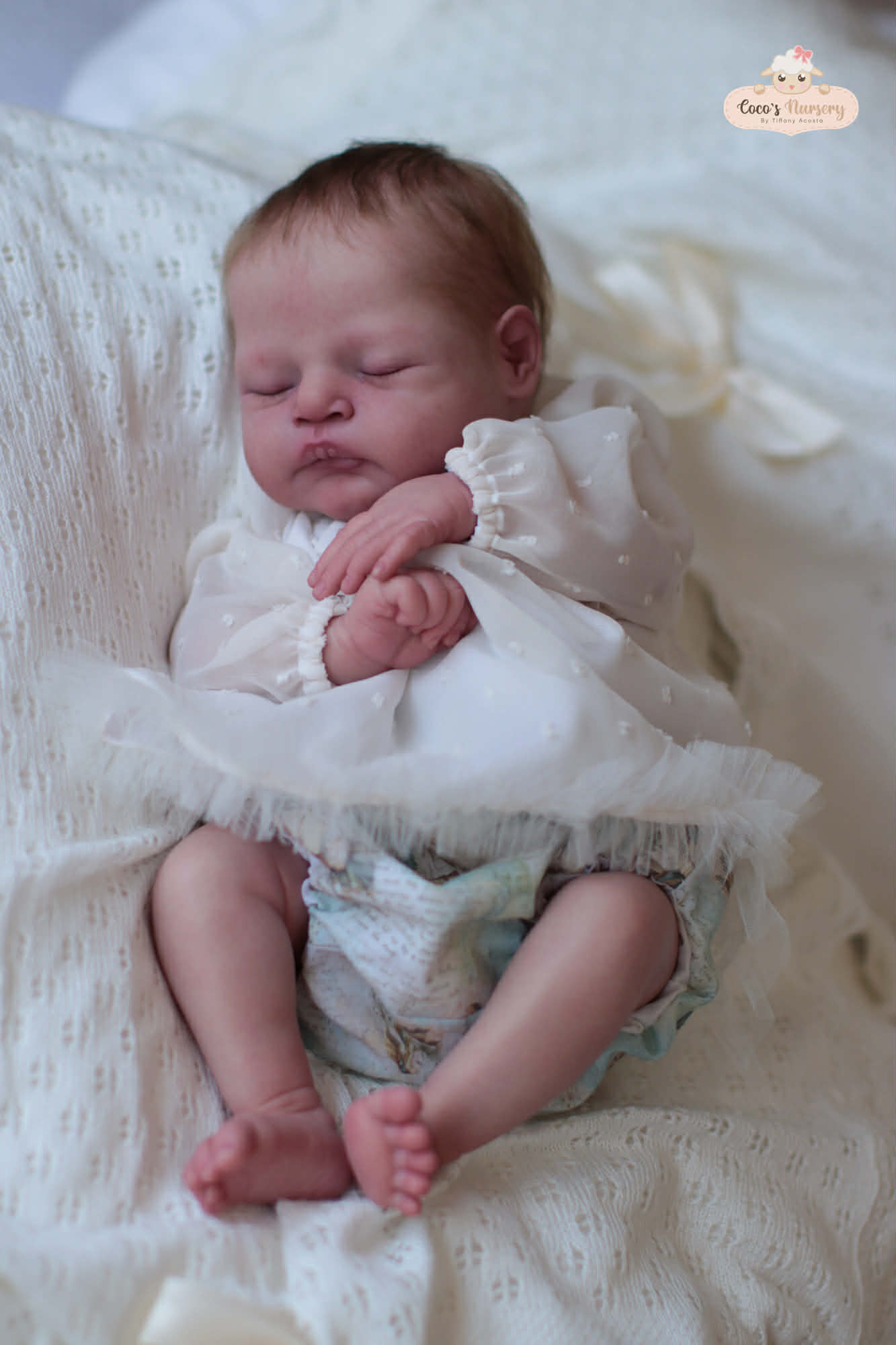 ***PRE-ORDER DEPOSIT ONLY*** Alice by Cassie Ann Love