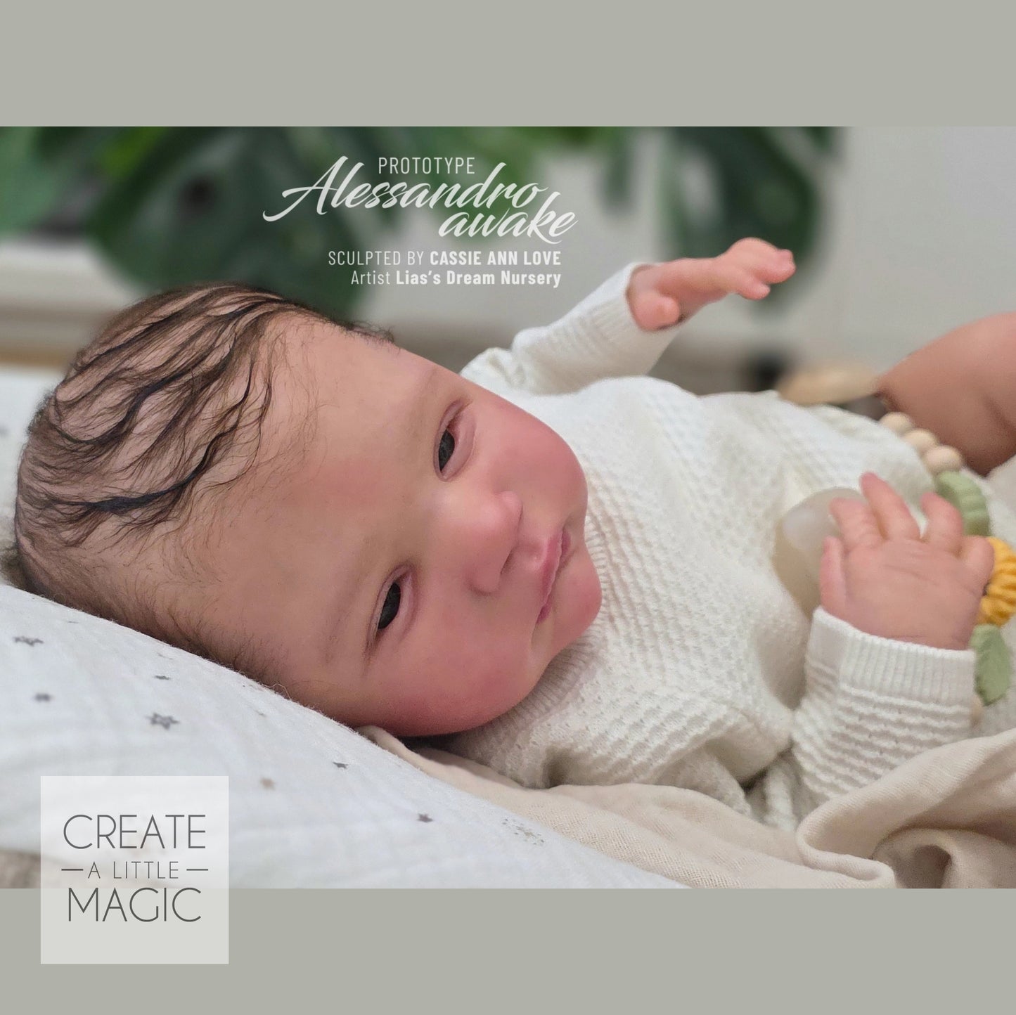 ***PRE-ORDER DEPOSIT ONLY*** Alessandro Awake by Cassie Ann Love