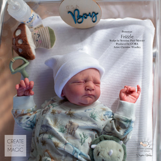 ***PRE-ORDER DEPOSIT ONLY*** Frizzle by Severine Piret Mercier