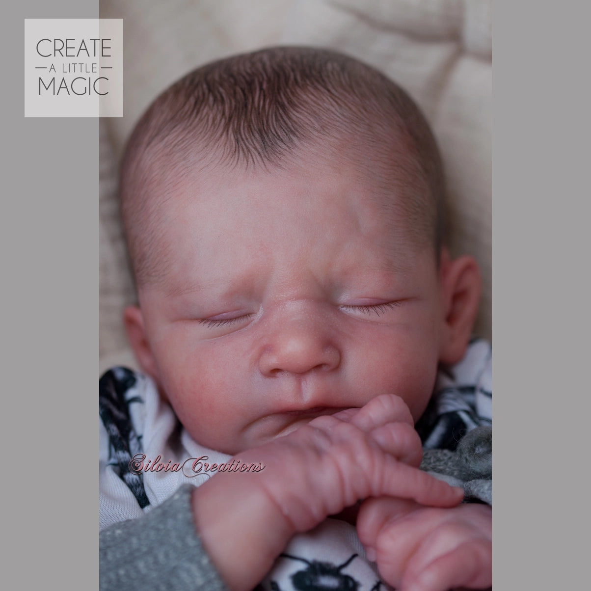 ***PRE-ORDER DEPOSIT ONLY*** Frizzle by Severine Piret Mercier