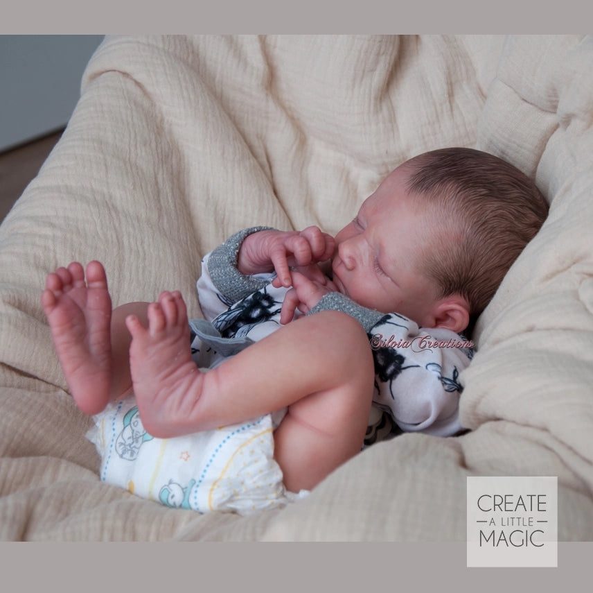 ***PRE-ORDER DEPOSIT ONLY*** Frizzle by Severine Piret Mercier