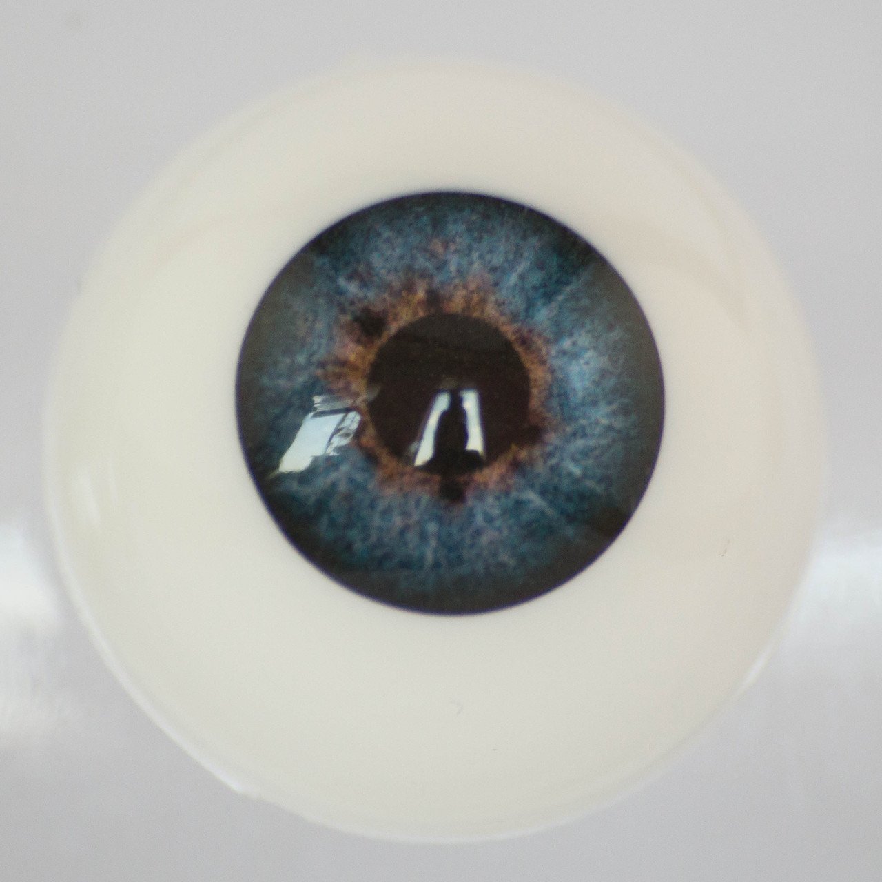 Acrylic Eyes - Cobalt - SC-02 - Create A Little Magic (Pty) Ltd