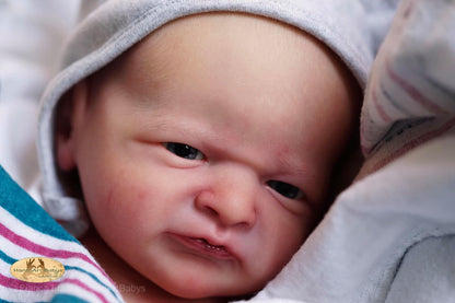 Alfie by Laura Lee Eagles - Create A Little Magic (Pty) Ltd