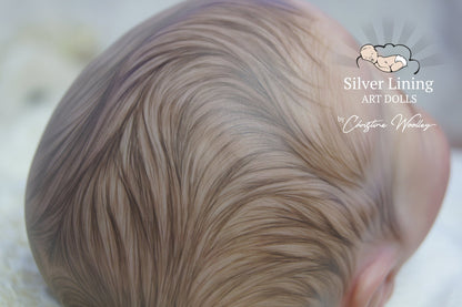 Brown Tutorial Set 3-D Reborn Hair Painting by Christine Woolley - Create A Little Magic (Pty) Ltd