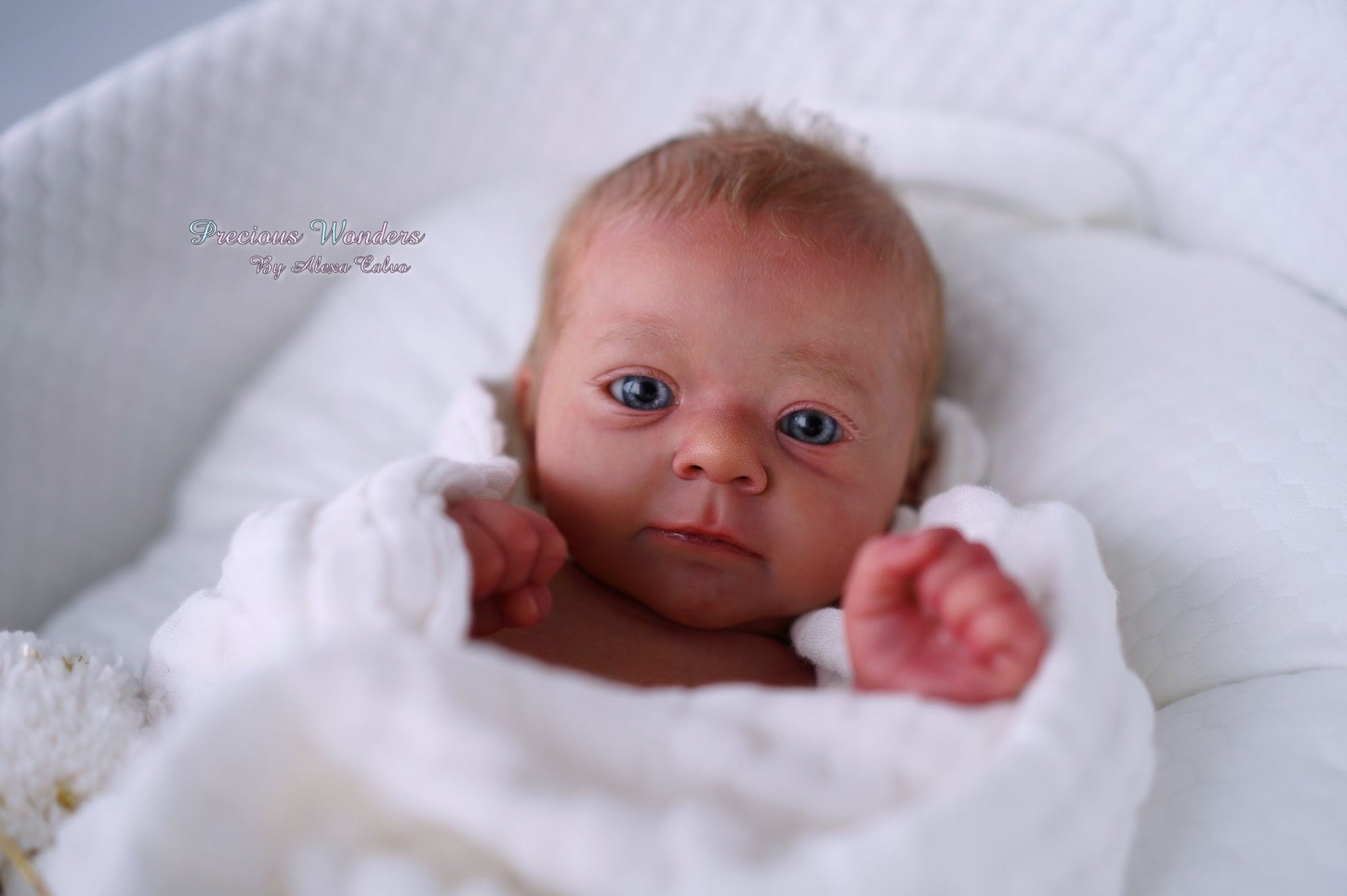 Felicia by Gudrun Legler - Create A Little Magic (Pty) Ltd
