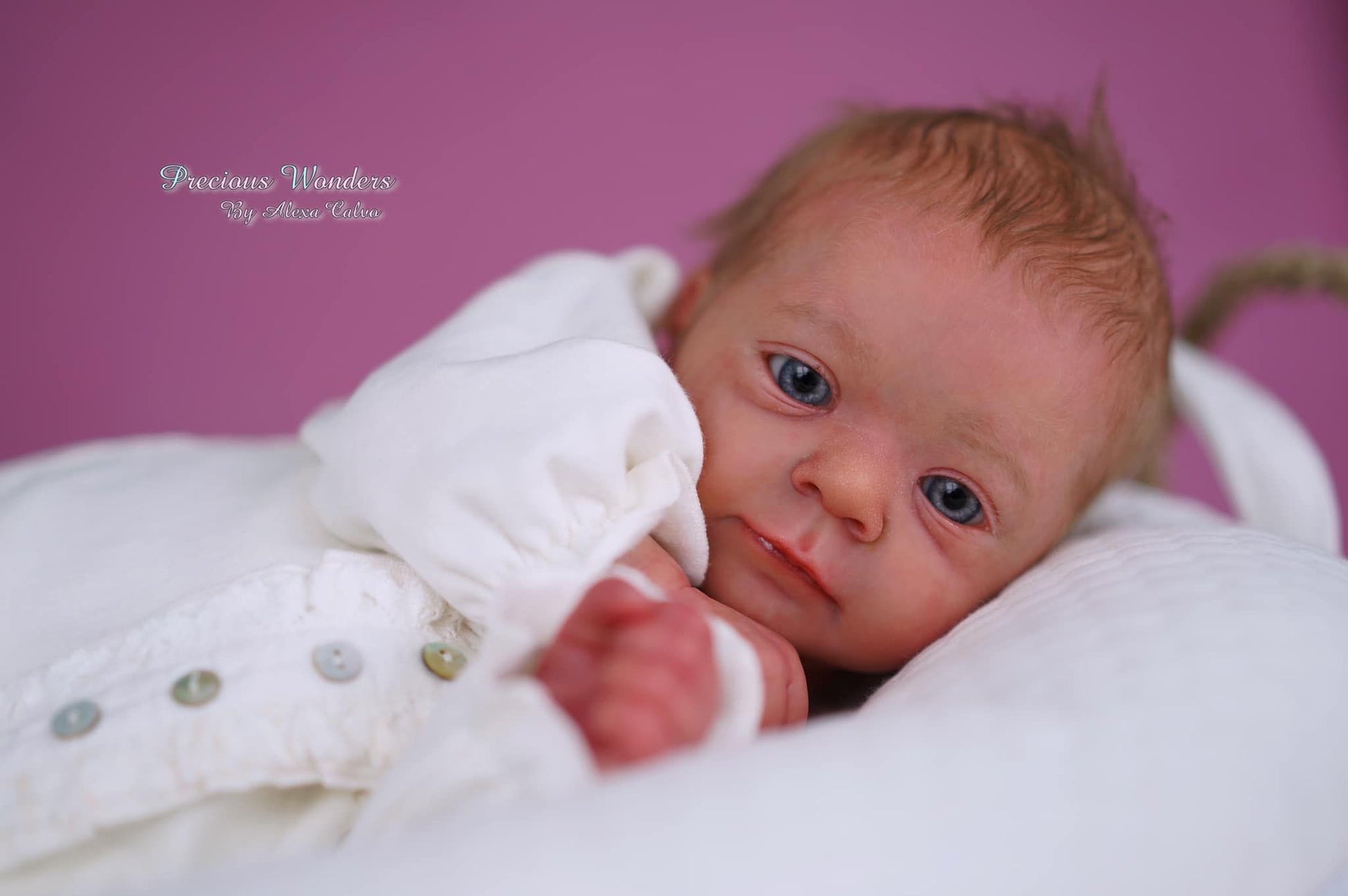 Felicia by Gudrun Legler - Create A Little Magic (Pty) Ltd