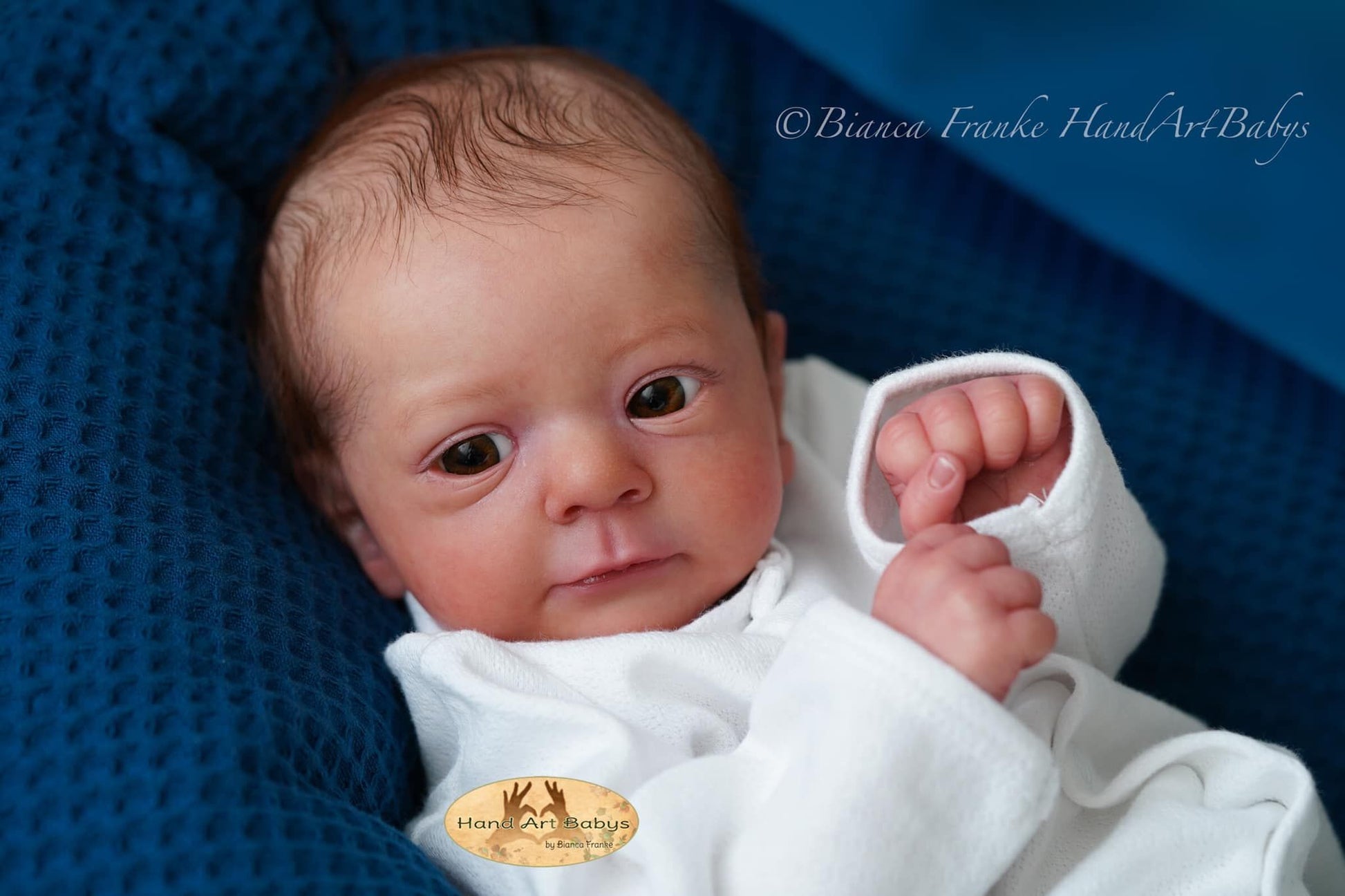 Felicia by Gudrun Legler - Create A Little Magic (Pty) Ltd