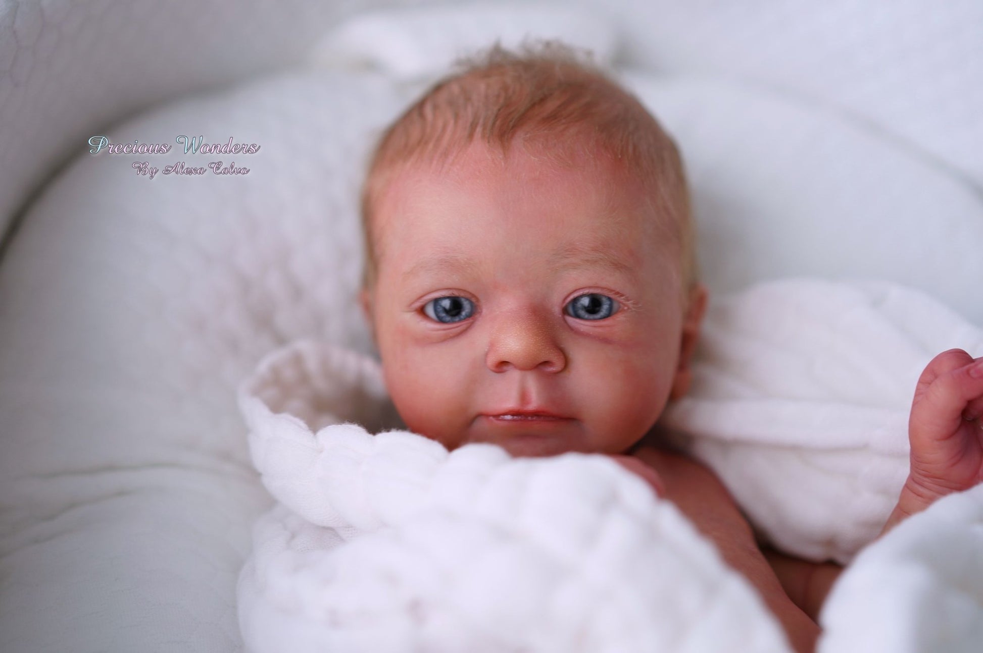 Felicia by Gudrun Legler - Create A Little Magic (Pty) Ltd